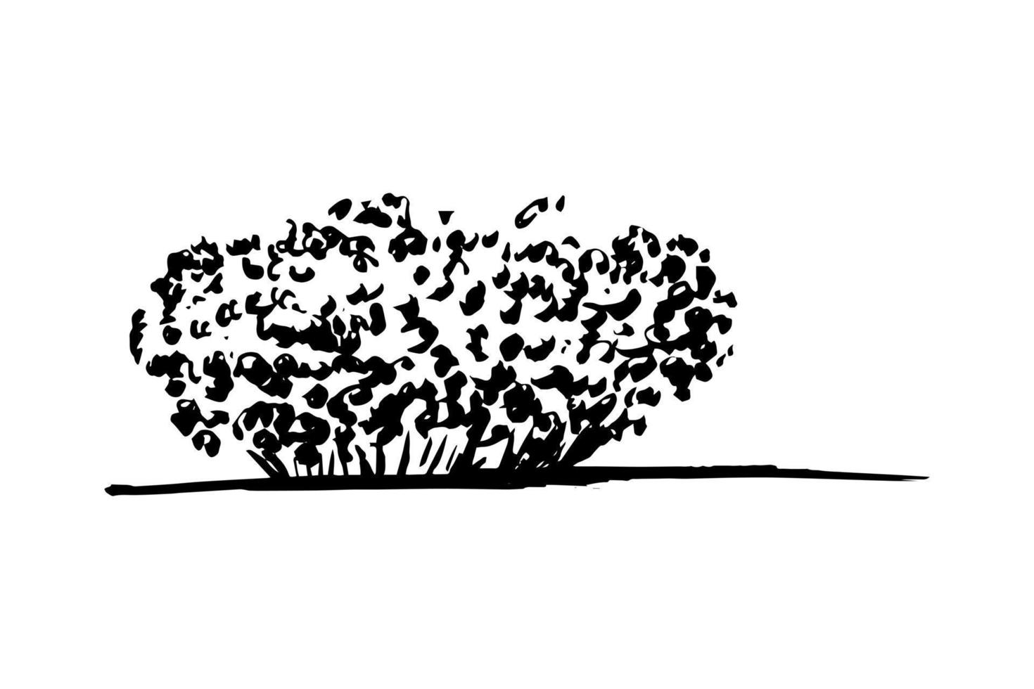 vector perro rosal en boceto. boceto de arbusto blanco y negro dibujado a mano aislado