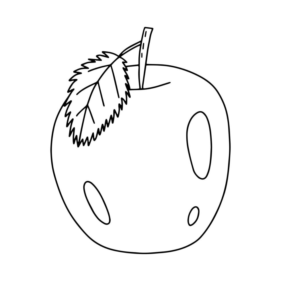 Hand drawn apple doodle illustration. Vector simple apple sketch