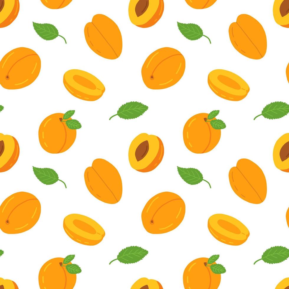 Vector cartoon apricot seamless pattern isolated on white background. Different peach and apricot vector pattern.