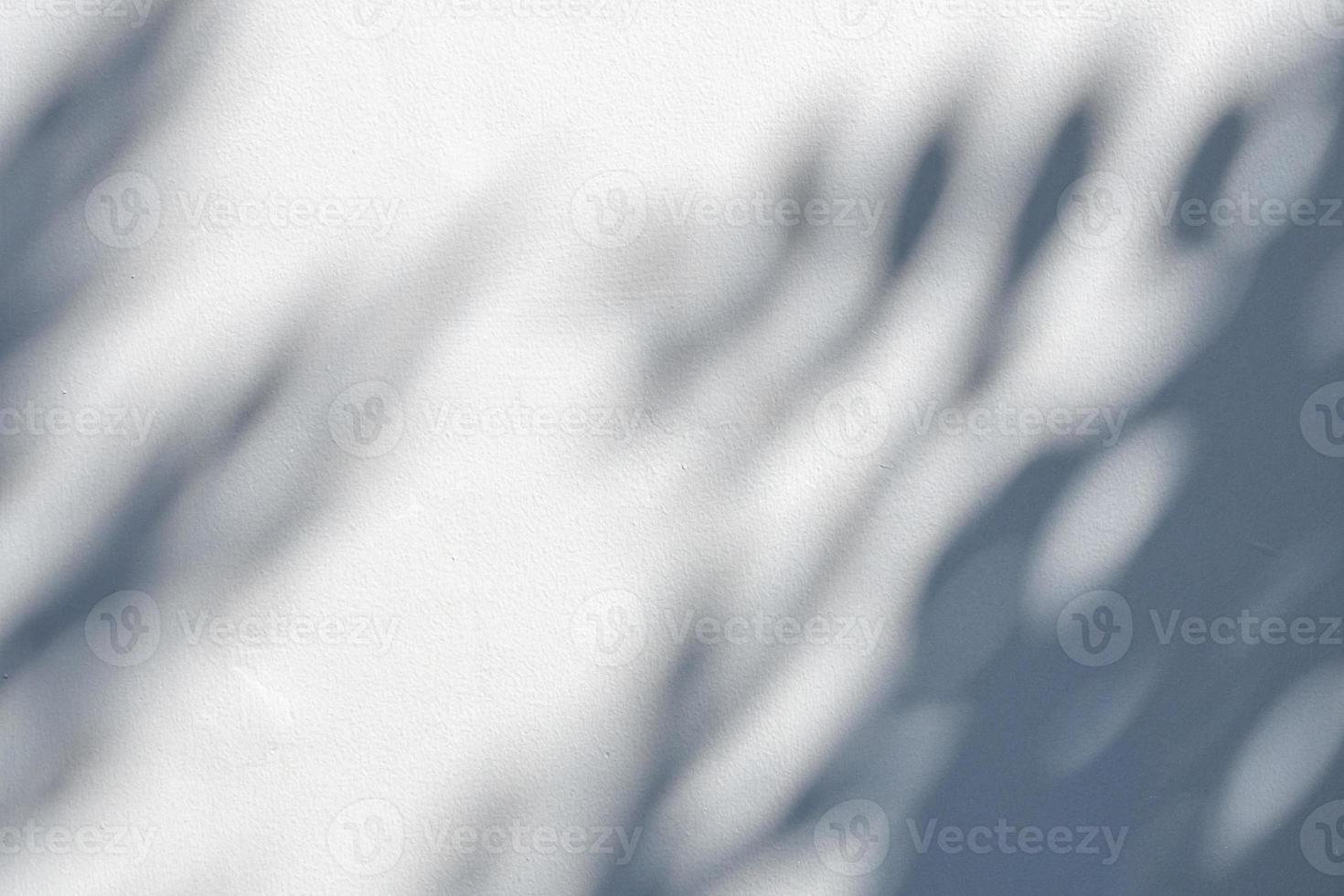 Abstract natural tree leaves shadow on white wall background photo