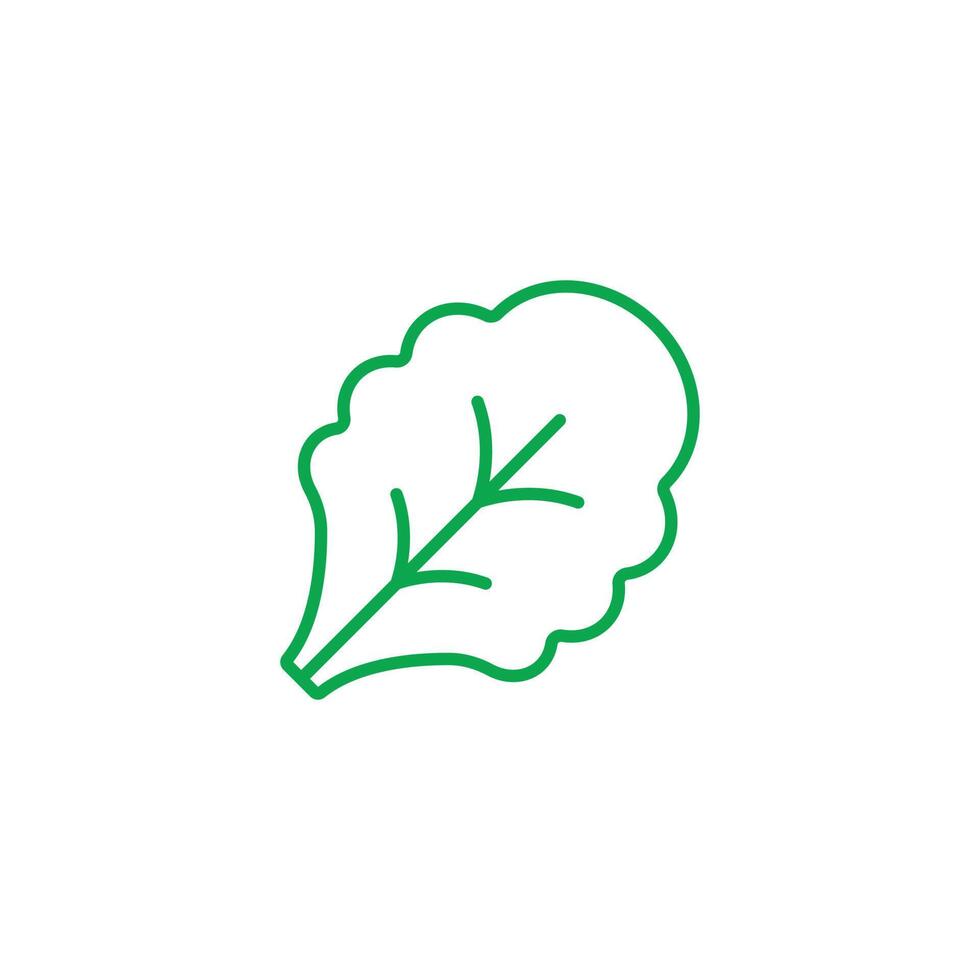 eps10 green vector Leaf Lettuce Plant line art icon isolated on white background. lettuce or salad outline symbol in a simple flat trendy modern style for your website design, logo, and mobile app