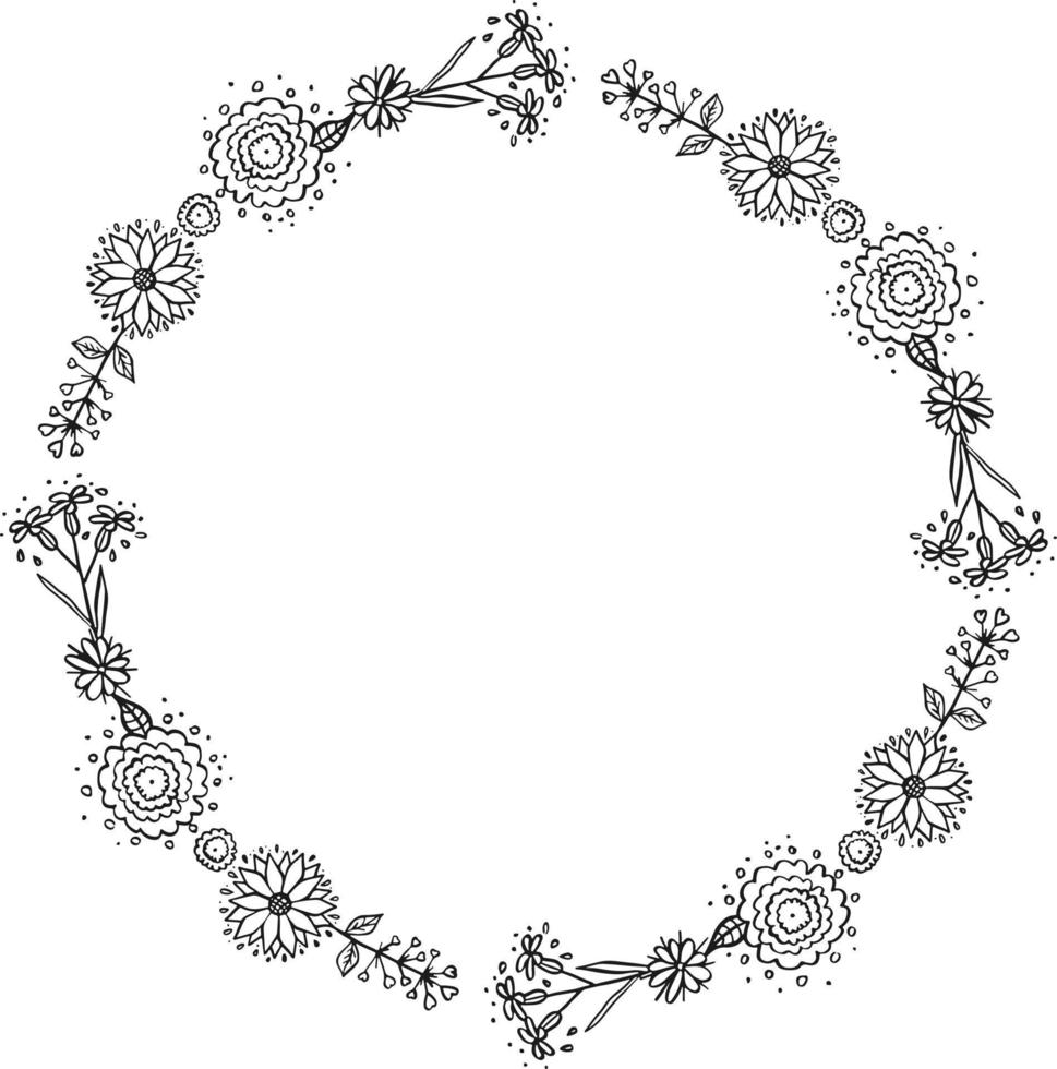 Wild flowers. Samples. White background and illustration vector