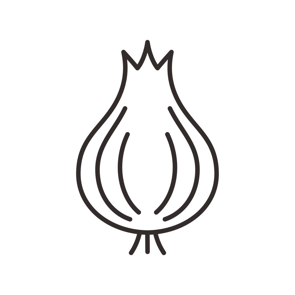 onion outline icon vector