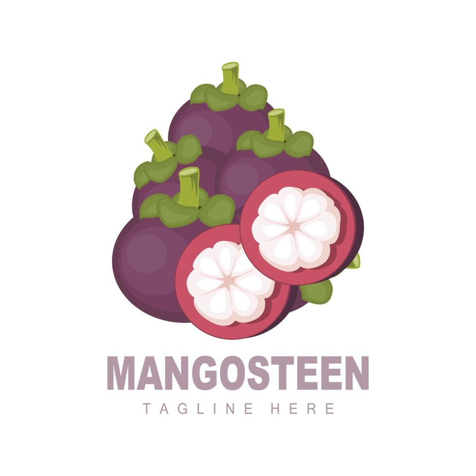 diseño del logotipo de mangostán, vector de fruta fresca para la salud de la piel, ilustración de la marca de la tienda de frutas y medicina natural de la piel