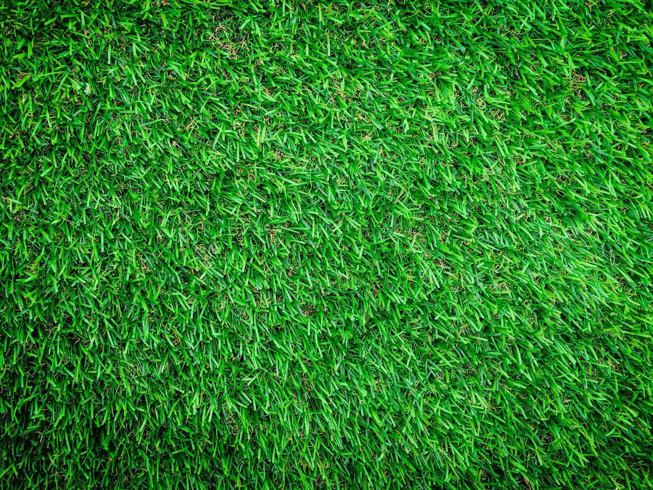 Closeup view of green grass soccer field background. Wallpaper for work and design. photo