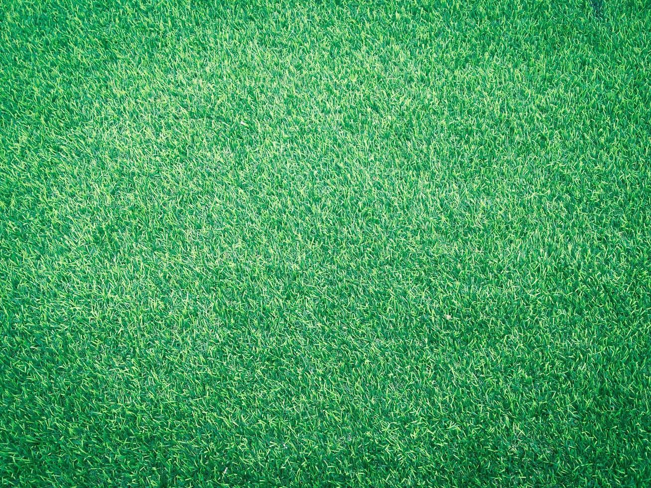 Closeup view of green grass soccer field background. Wallpaper for work and design. photo