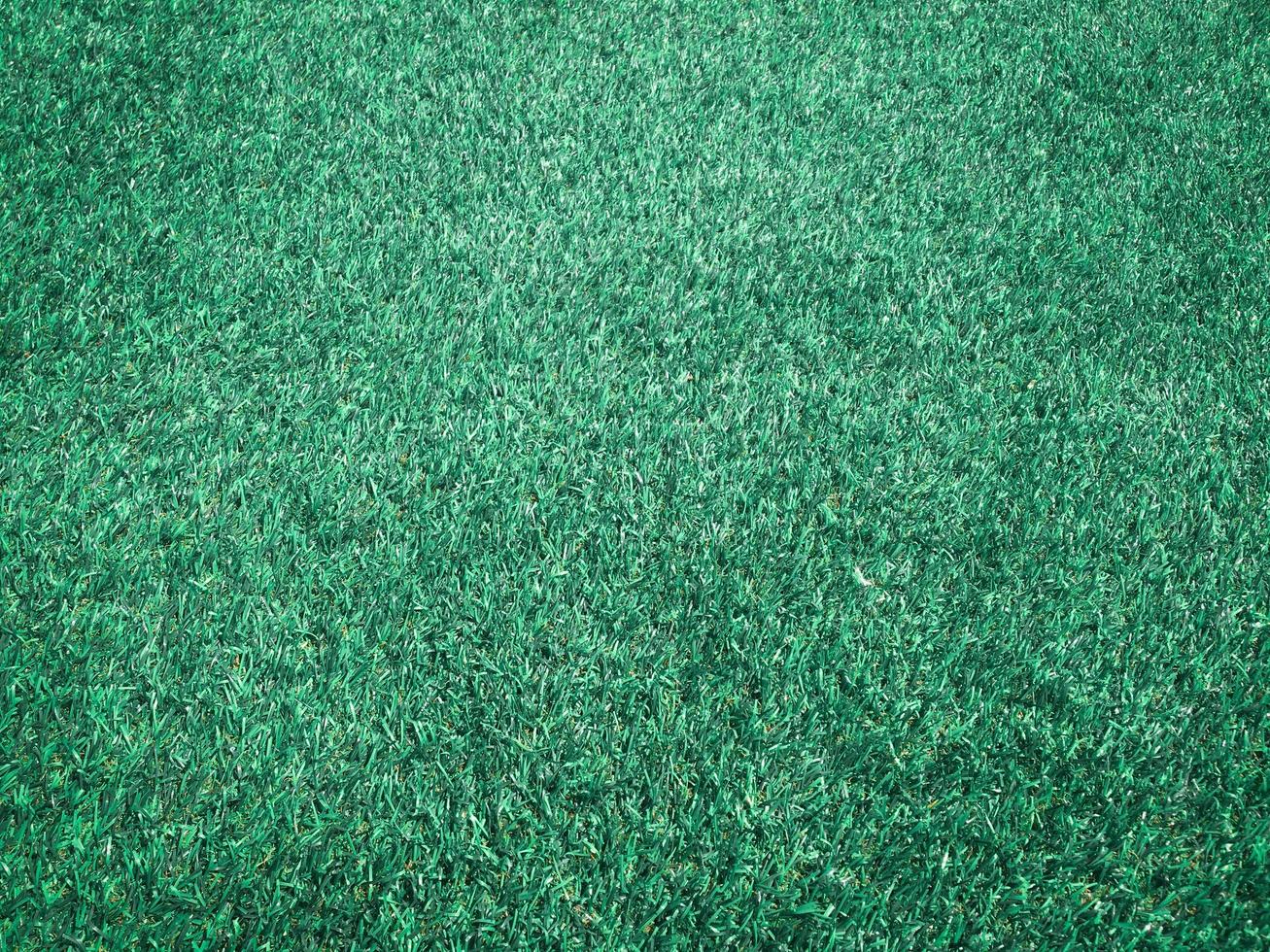 Green grass close up view in the jungle with copy space for design photo