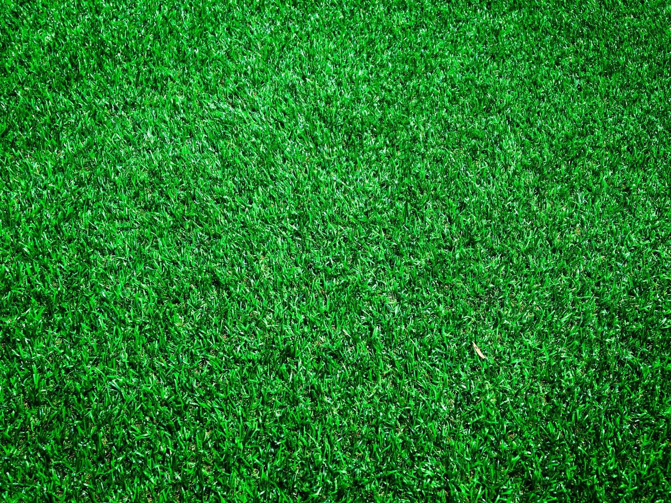 Closeup view of green grass soccer field background. Wallpaper for work and design. photo