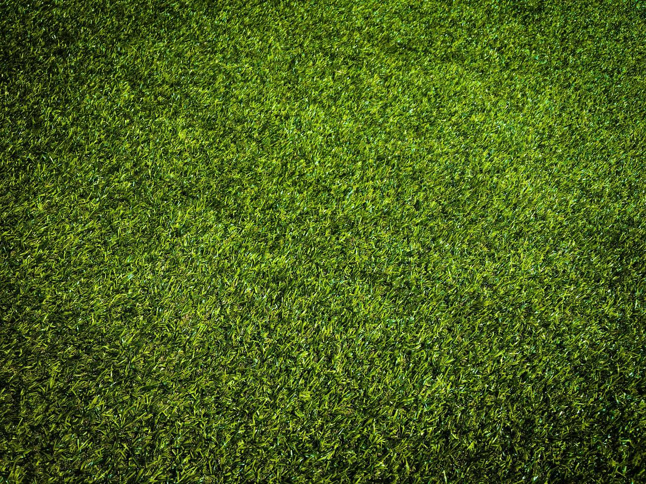 Closeup view of green grass soccer field background. Wallpaper for work and design. photo