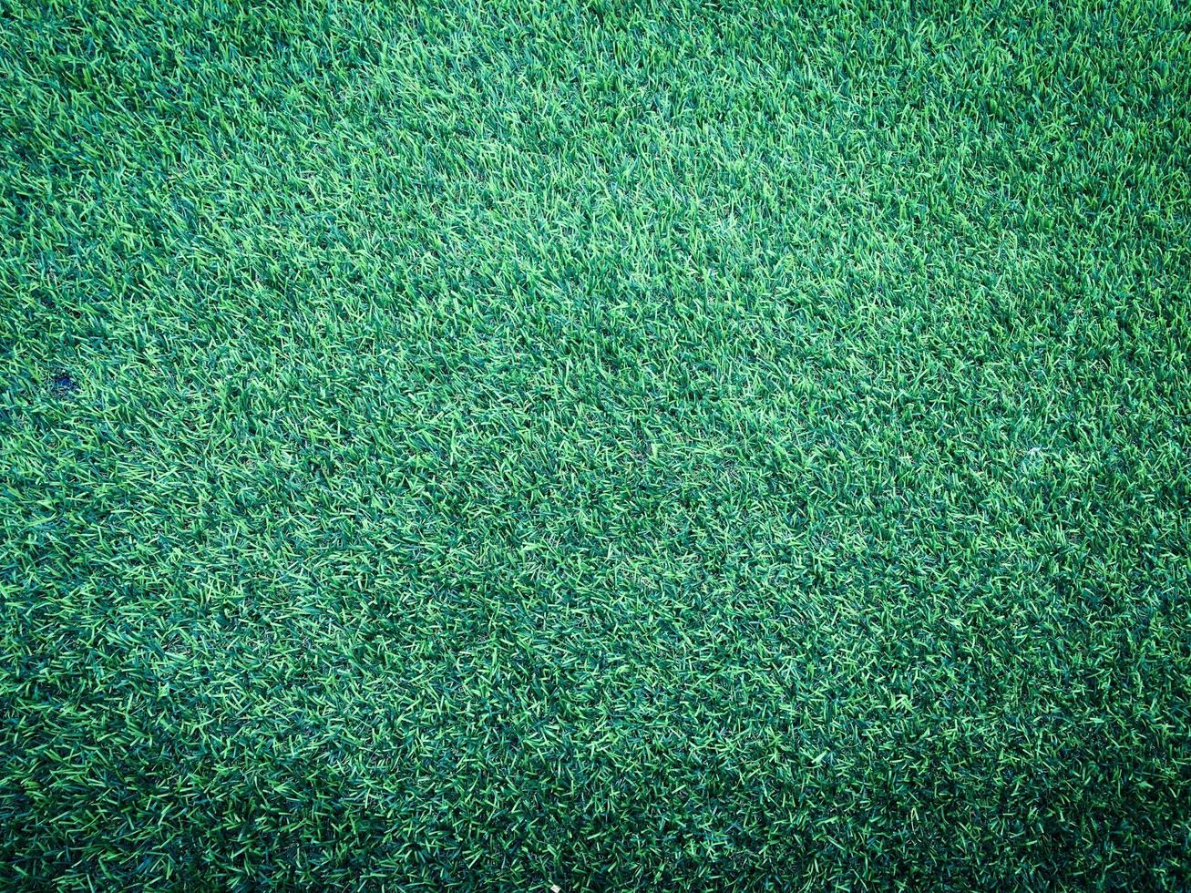 Closeup view of green grass soccer field background. Wallpaper for work and design. photo