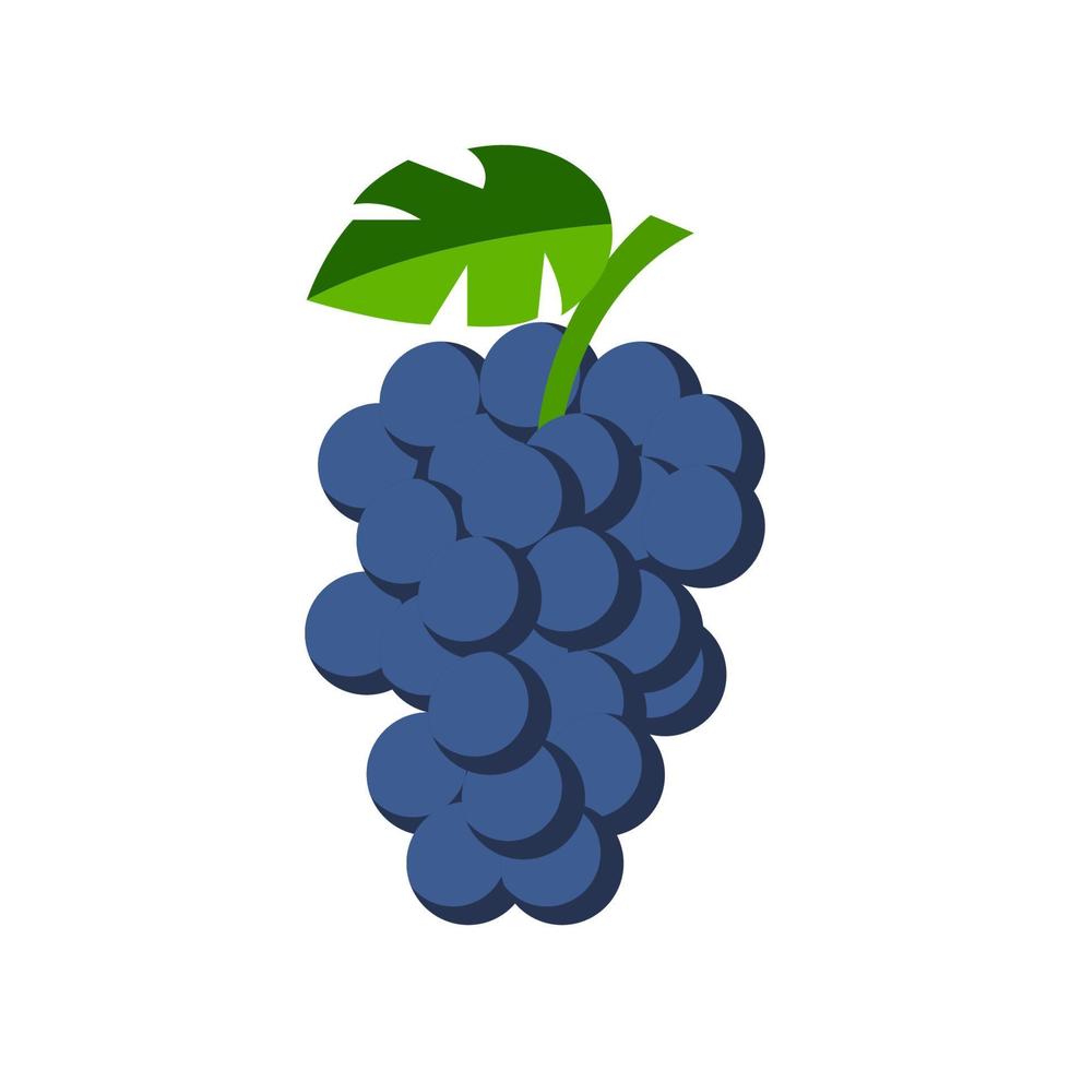 lindo clipart de uva en versión de dibujos animados vector