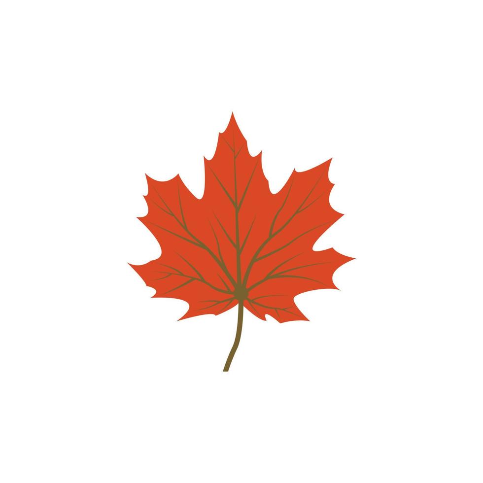 Maple leaf logo Template vector icon illustration design