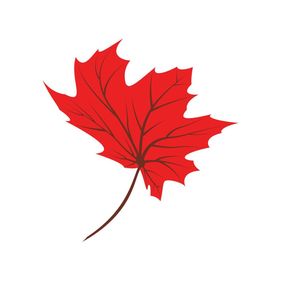 Maple leaf logo Template vector icon illustration design