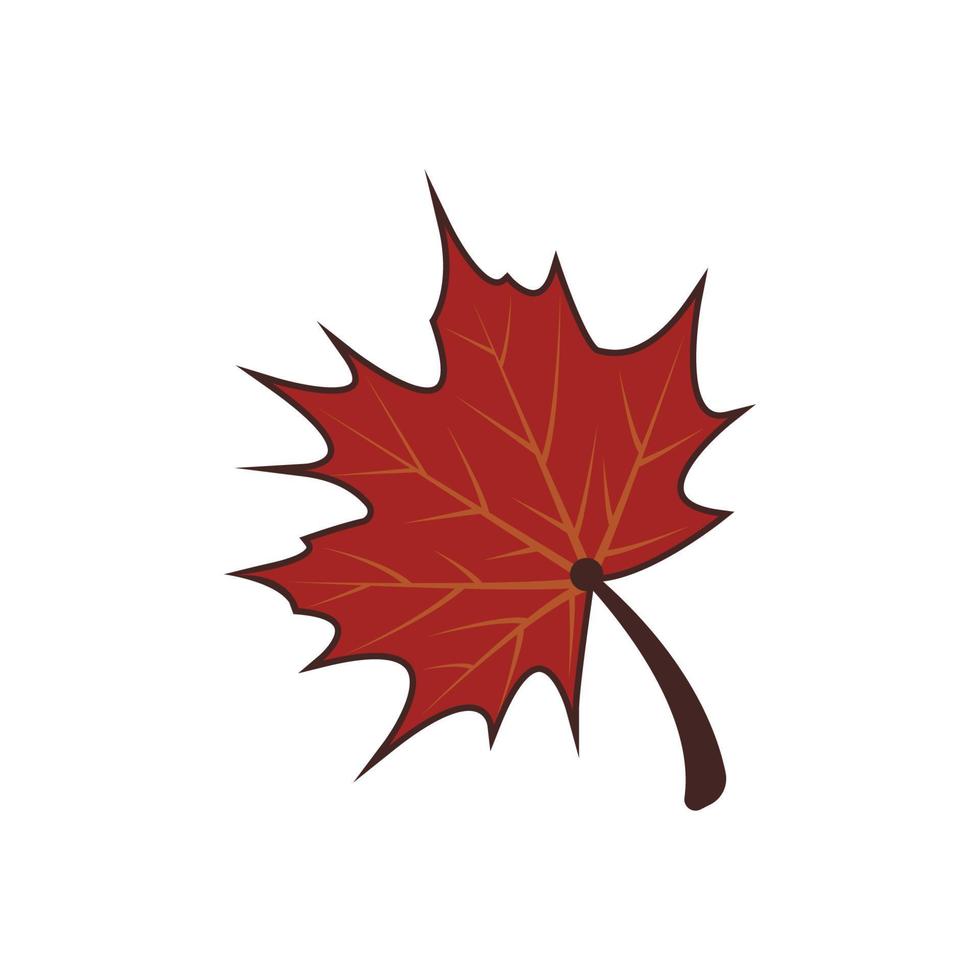 Maple leaf logo Template vector icon illustration design