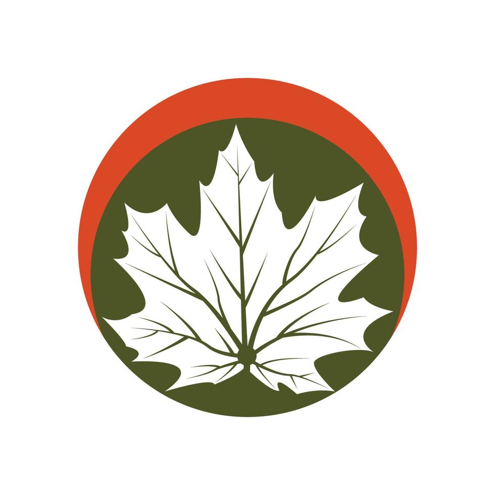 diseño de ilustración de icono de vector de plantilla de logotipo de hoja de arce