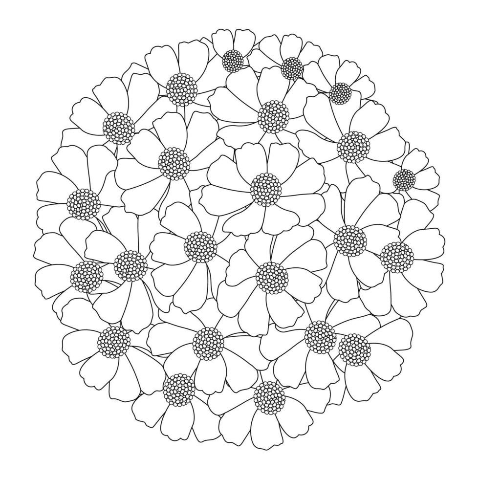 página para colorear de ilustración de flor de cosmos de jardín con diseño de arte de línea de pétalo floreciente vector