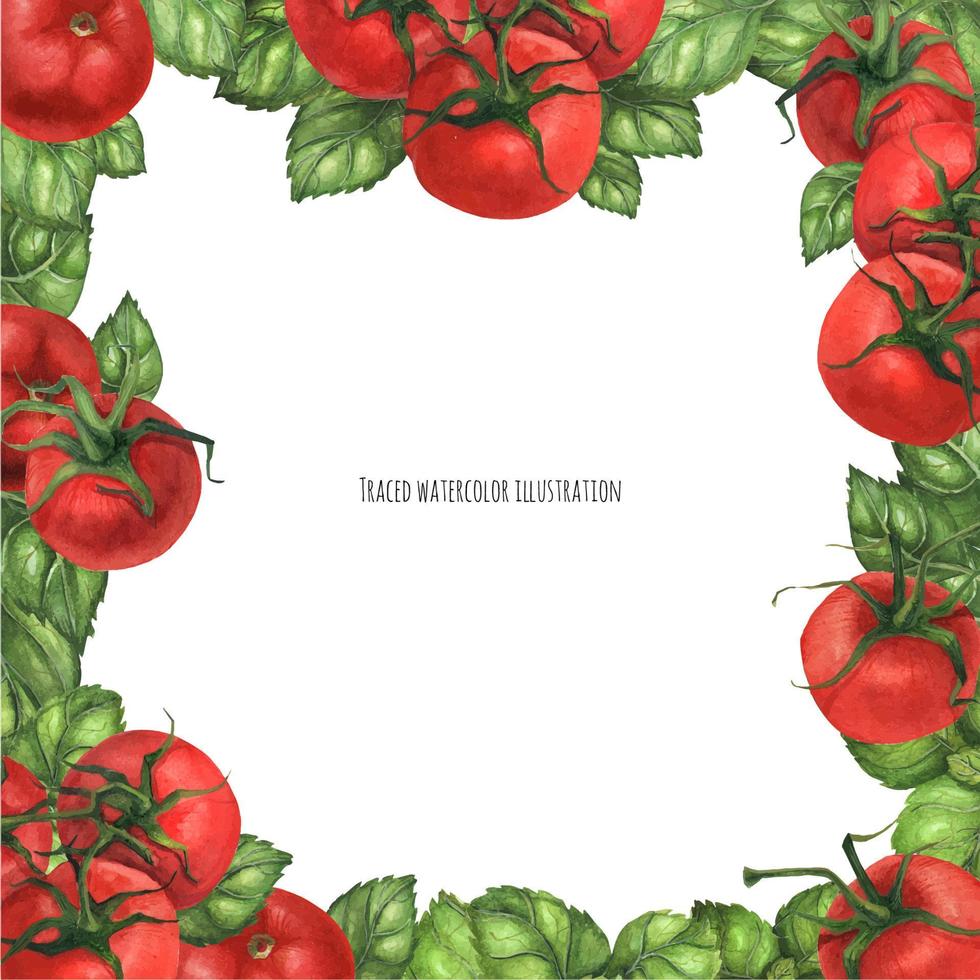 Basil and Tomatoes Square Frame vector