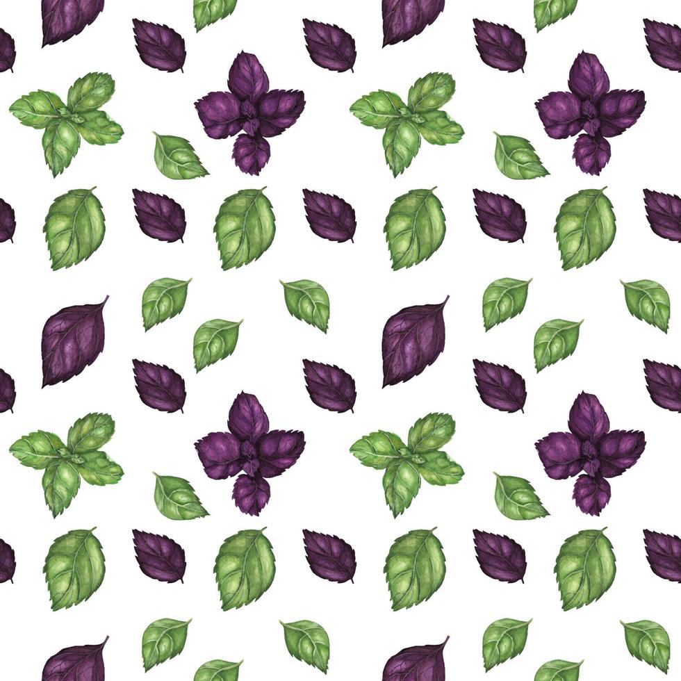 Traced watercolor seamless pattern with fresh basil vector