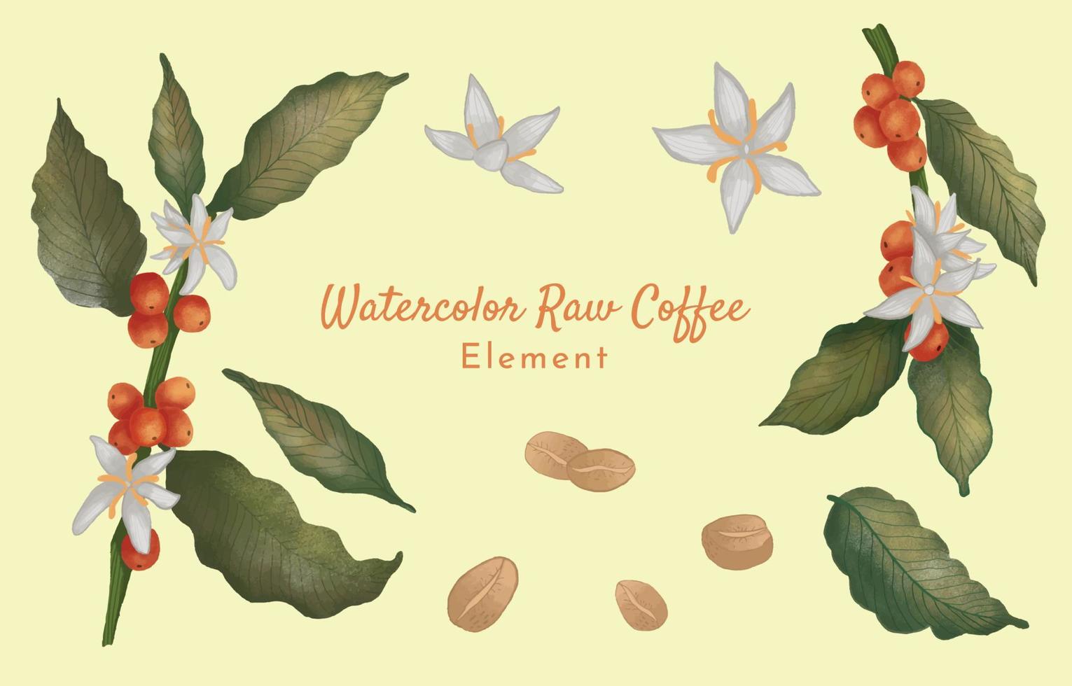 Hand Drawn Watercolor Raw Coffee Element vector