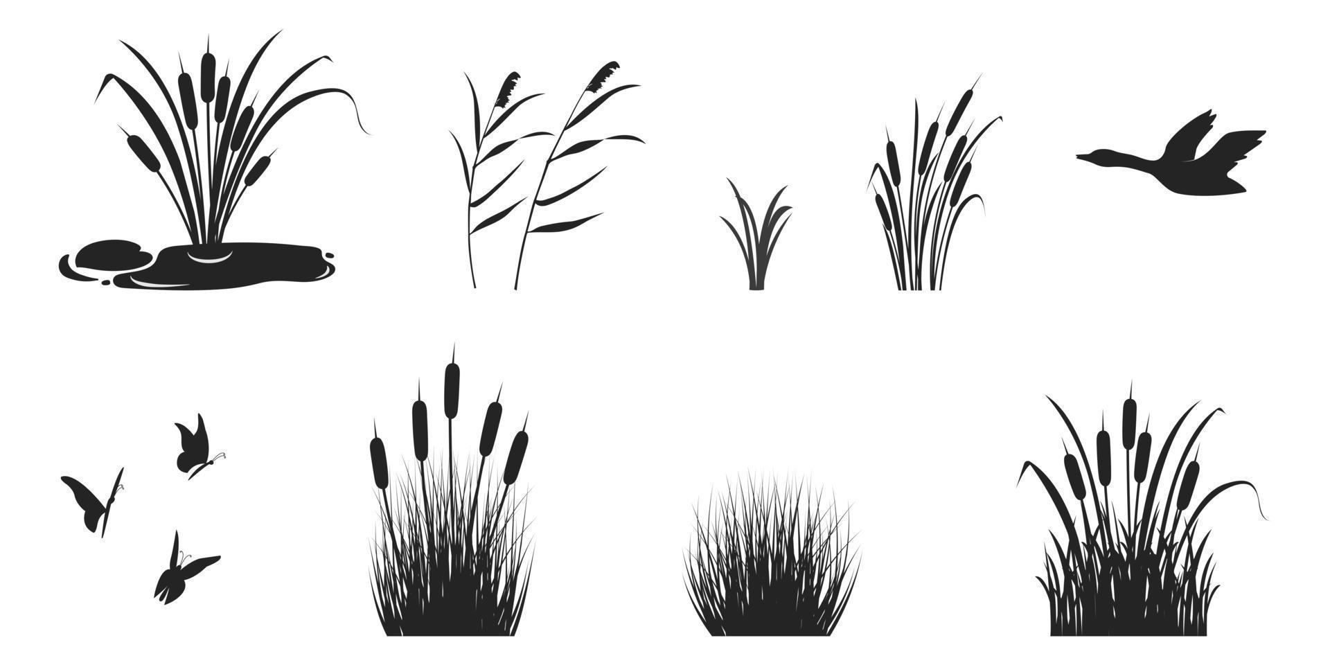 silueta de cañas con hierba y matorrales. sombra negra de vegetación pantanosa con mariposas y pato salvaje vector