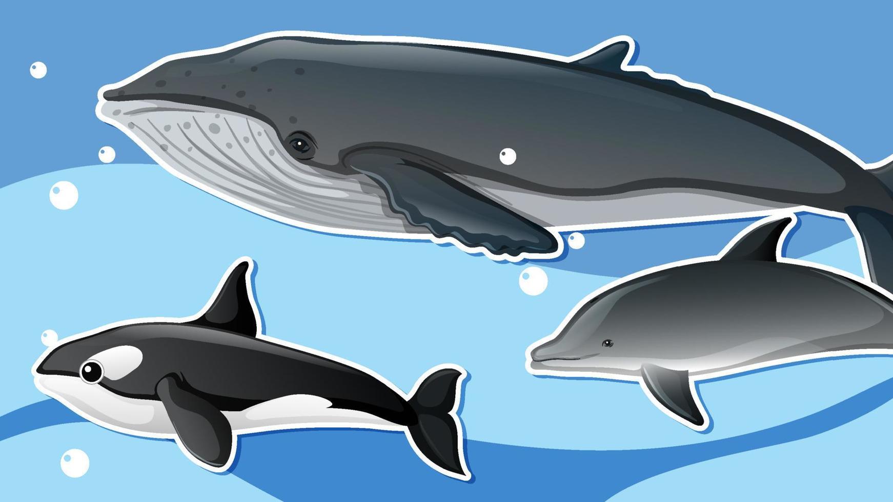 diseño de miniaturas con ballenas y delfines vector