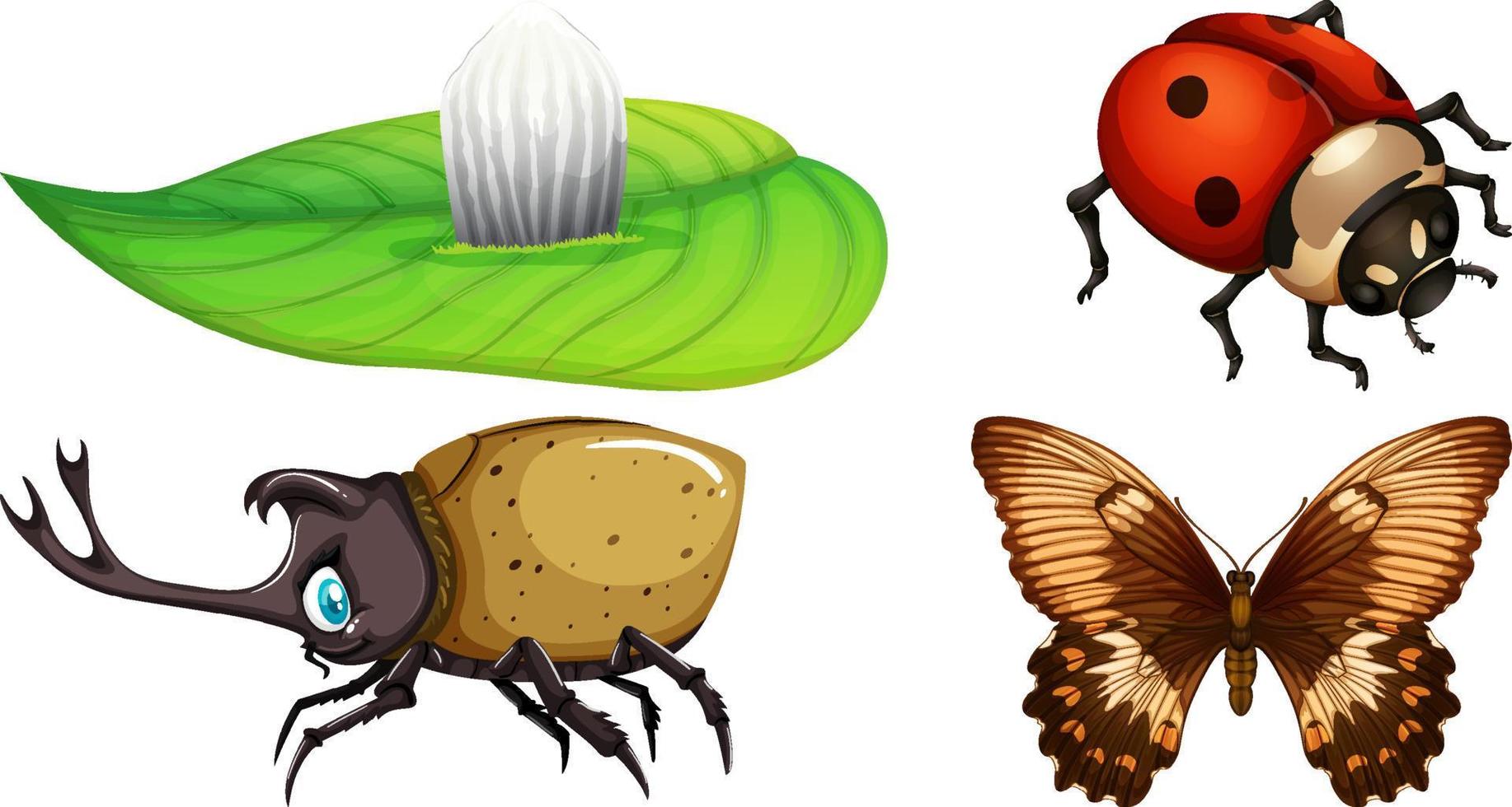 Set of different kinds of insects vector