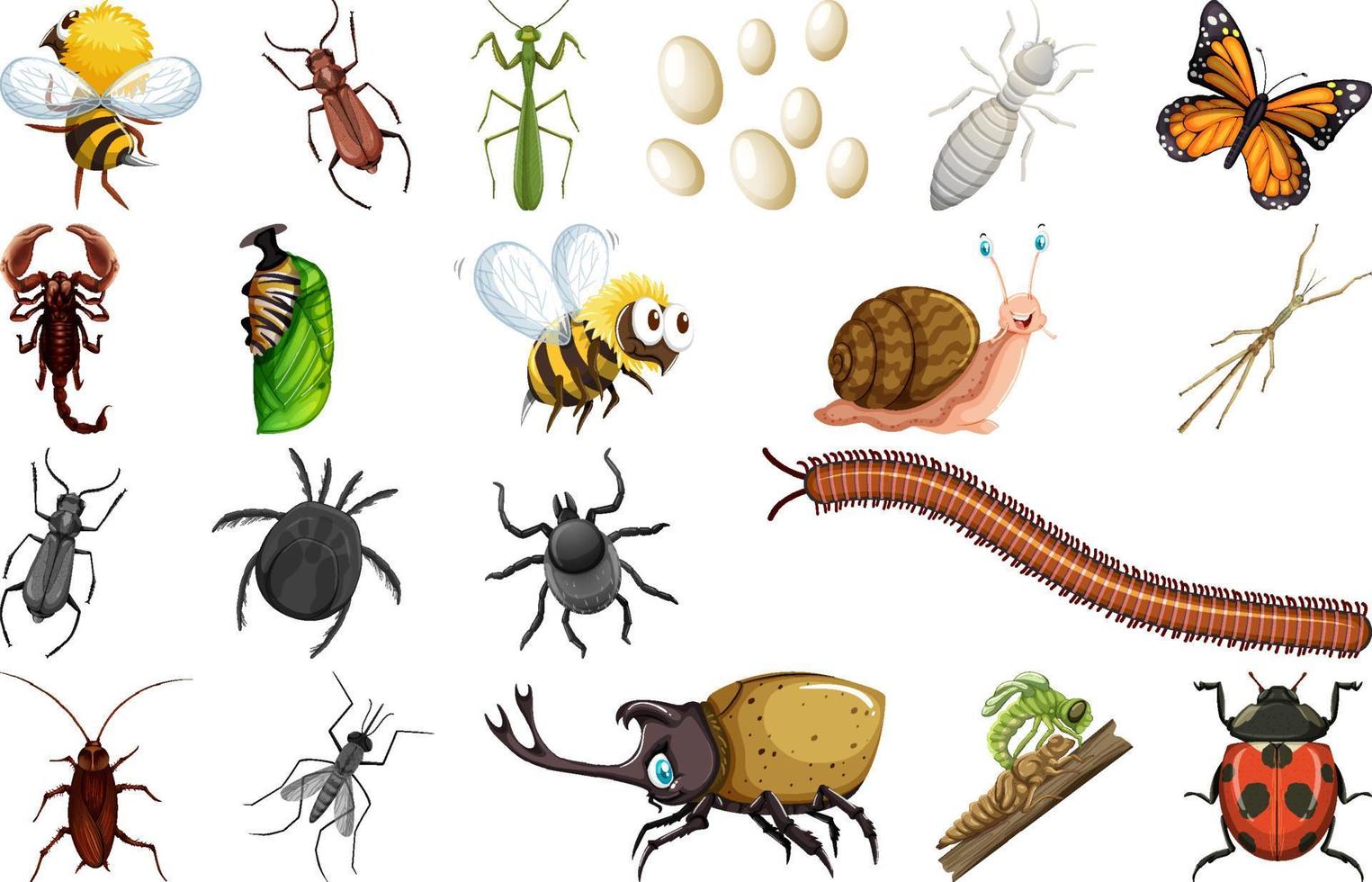 Different kinds of insects collection vector