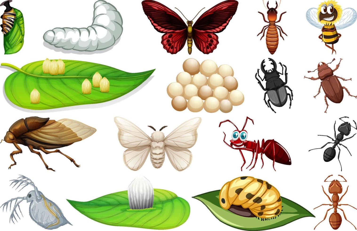 Different kinds of insects collection vector