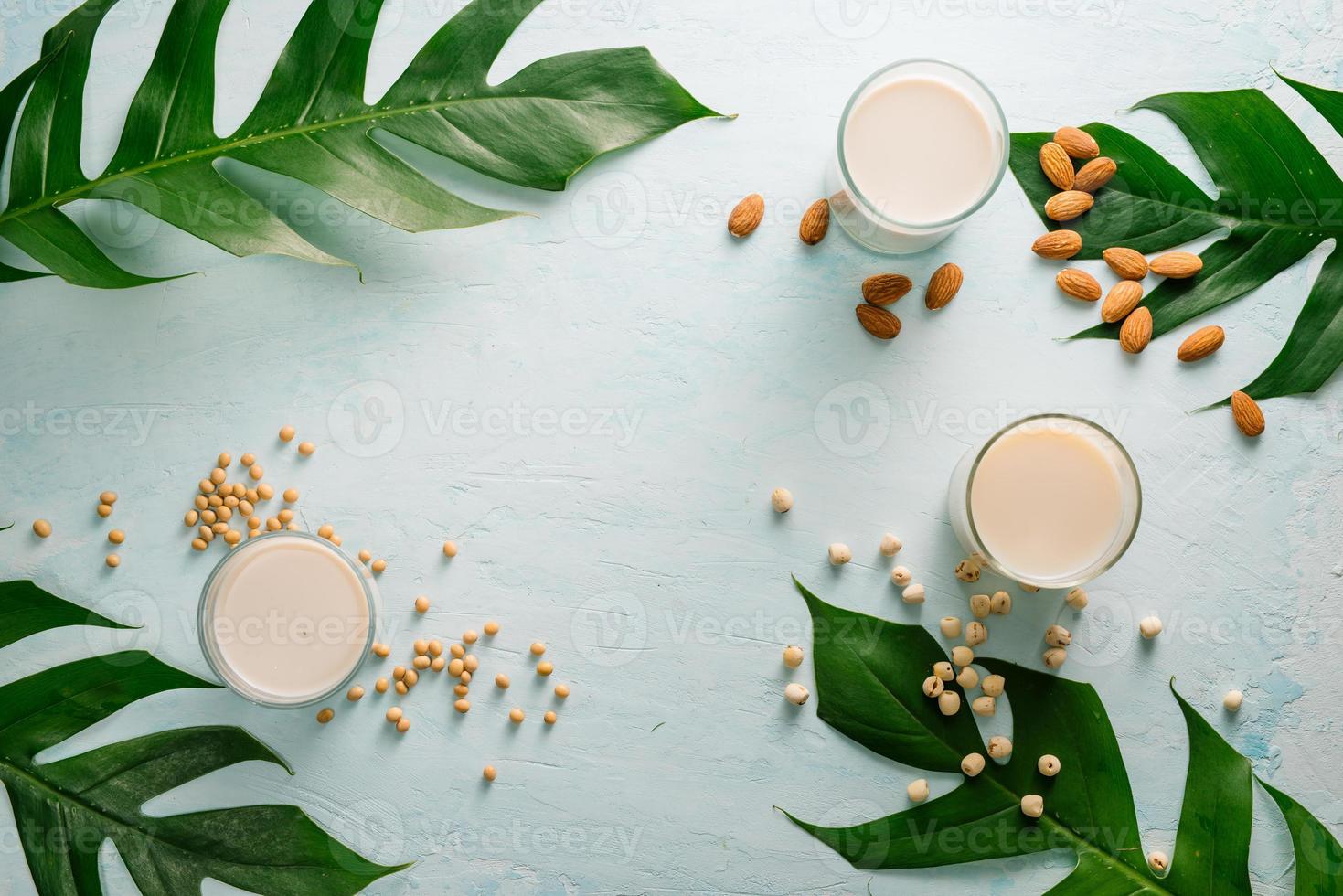 Glasses of milk Almond, soy and lotus seed. Top view. photo