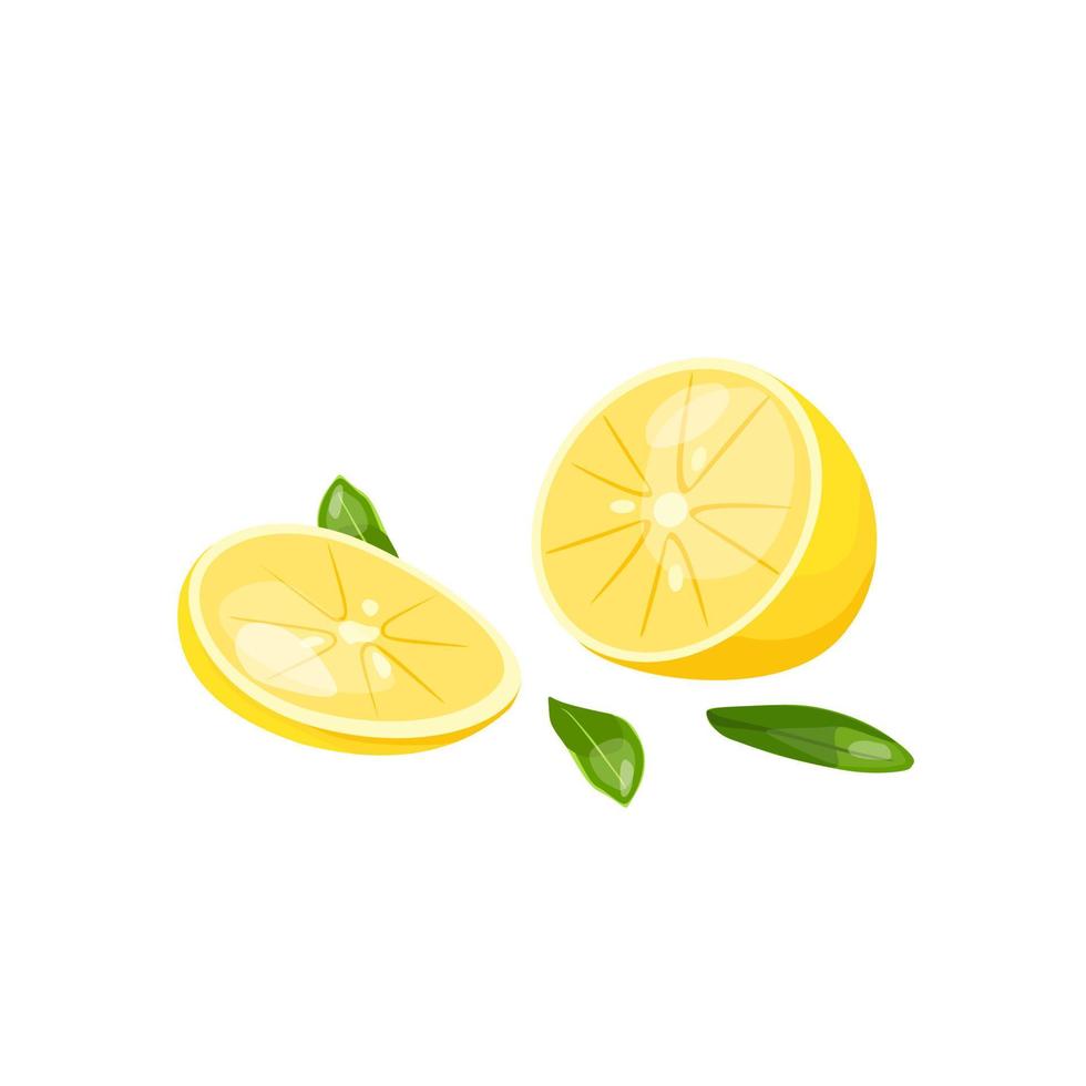 ilustración vectorial de un limón en rodajas. fuente de vitamina c. vector