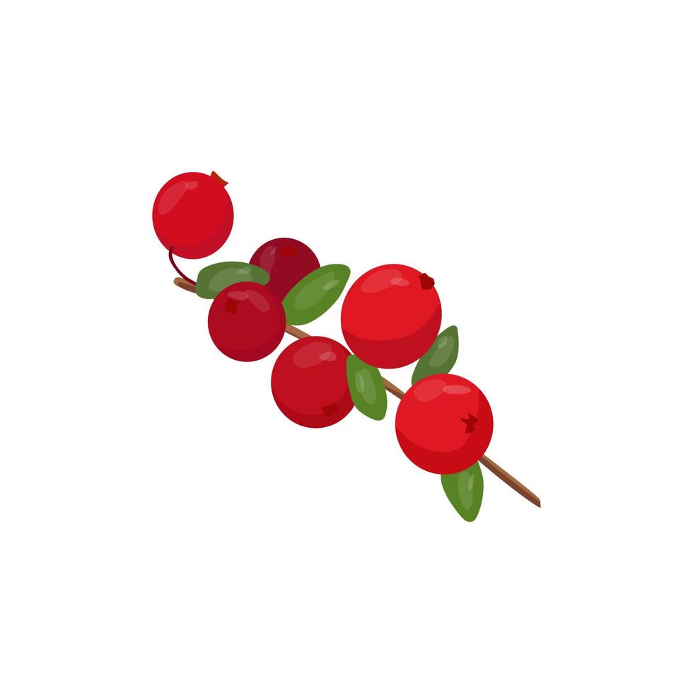 Cranberries on a twig with leaves. Cartoon vector illustration. A storehouse of vitamins.