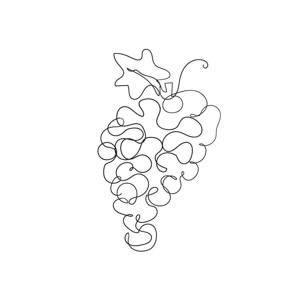 continuous line drawing grapes illustration vector