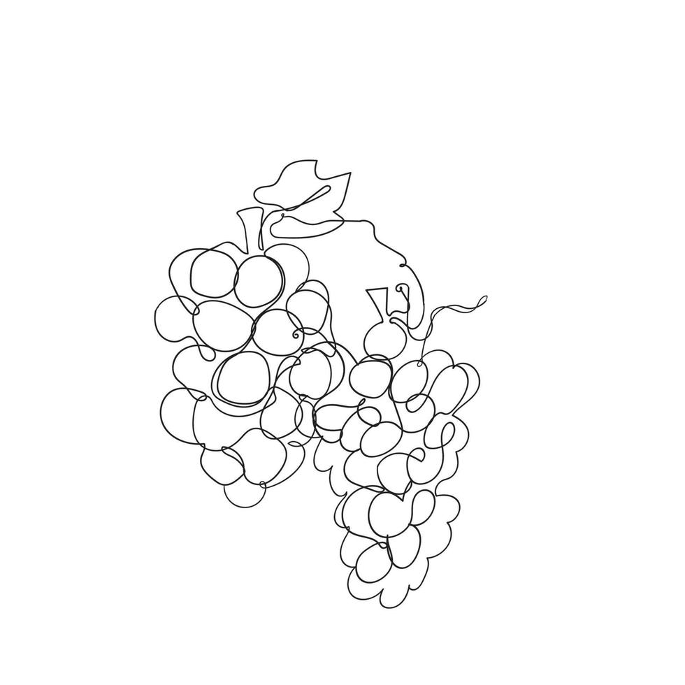 vector de ilustración de uvas de dibujo de línea continua