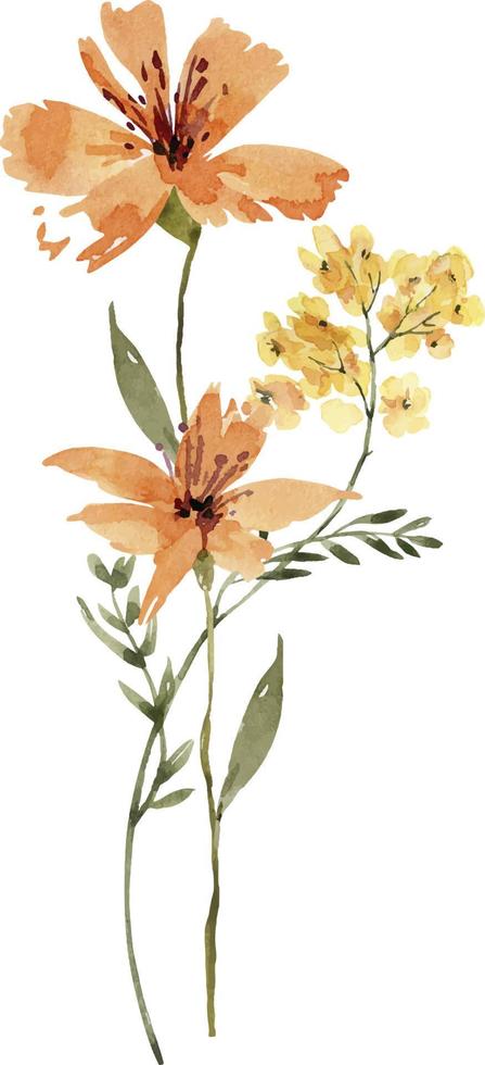 delicate bouquet of orange flowers, watercolor illustration. vector