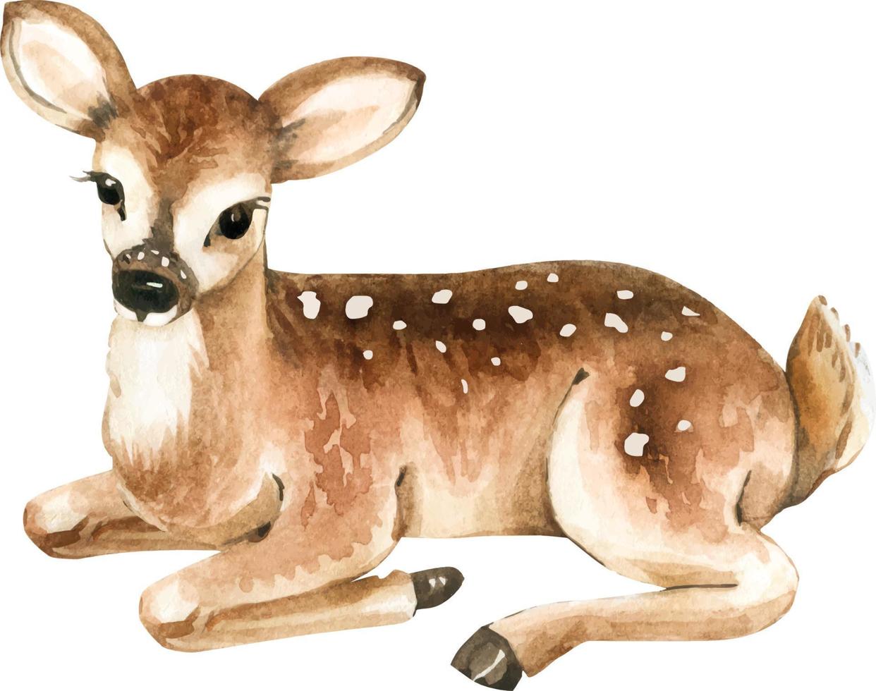 deer cub watercolor illustration, hand painted . vector