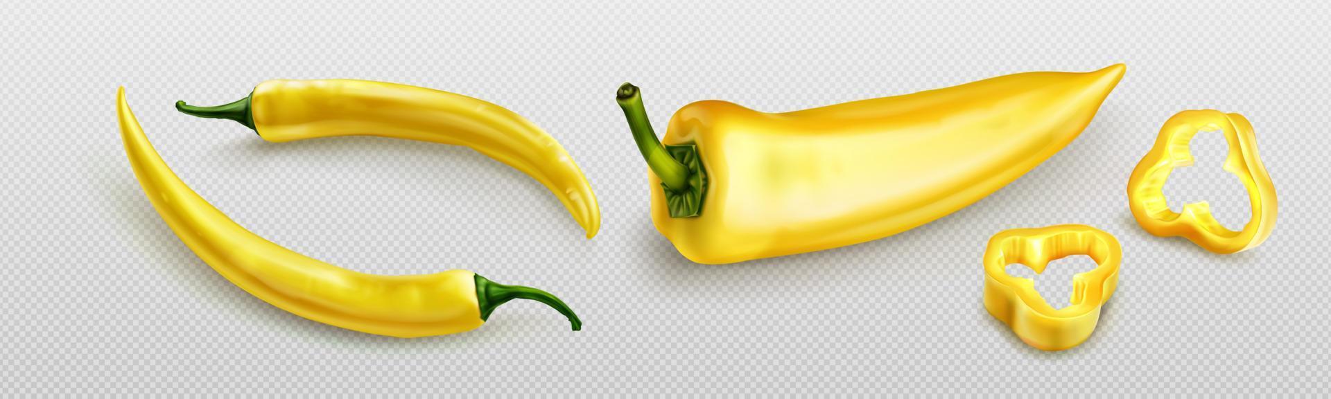 Yellow chili pepper or jalapeno hot spicy plant vector
