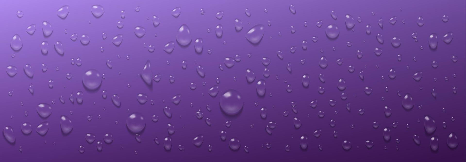 gotas de agua de condensación sobre fondo púrpura vector