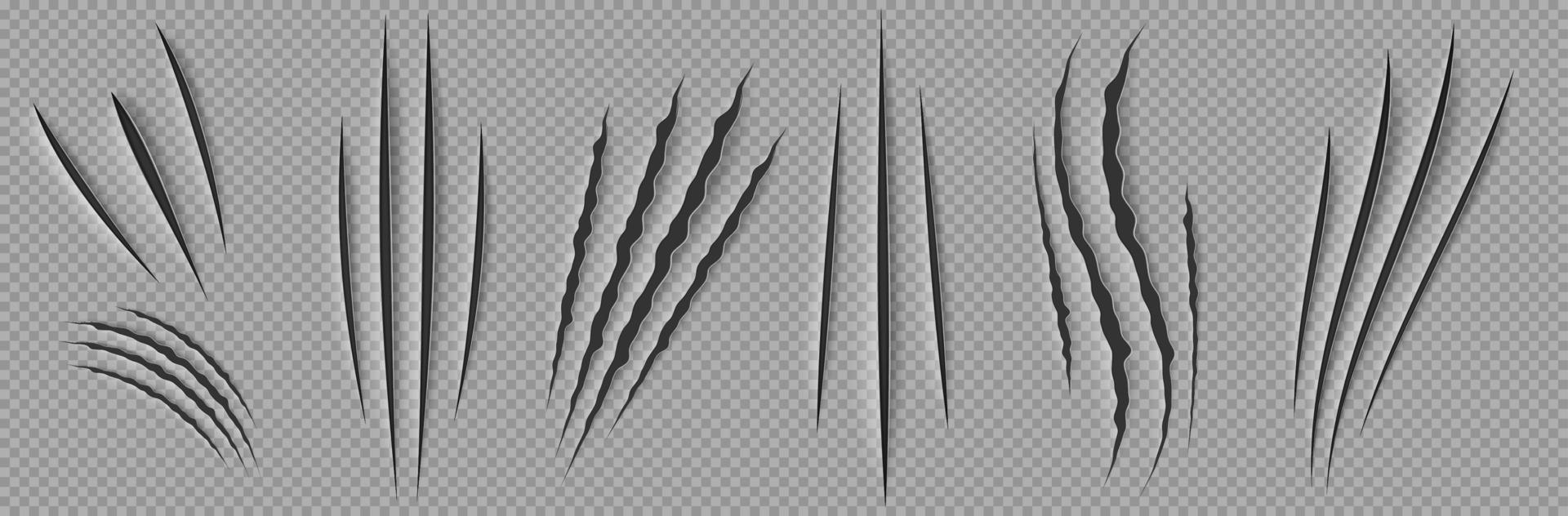 Monster claw scratches, wild animal nail rips set vector