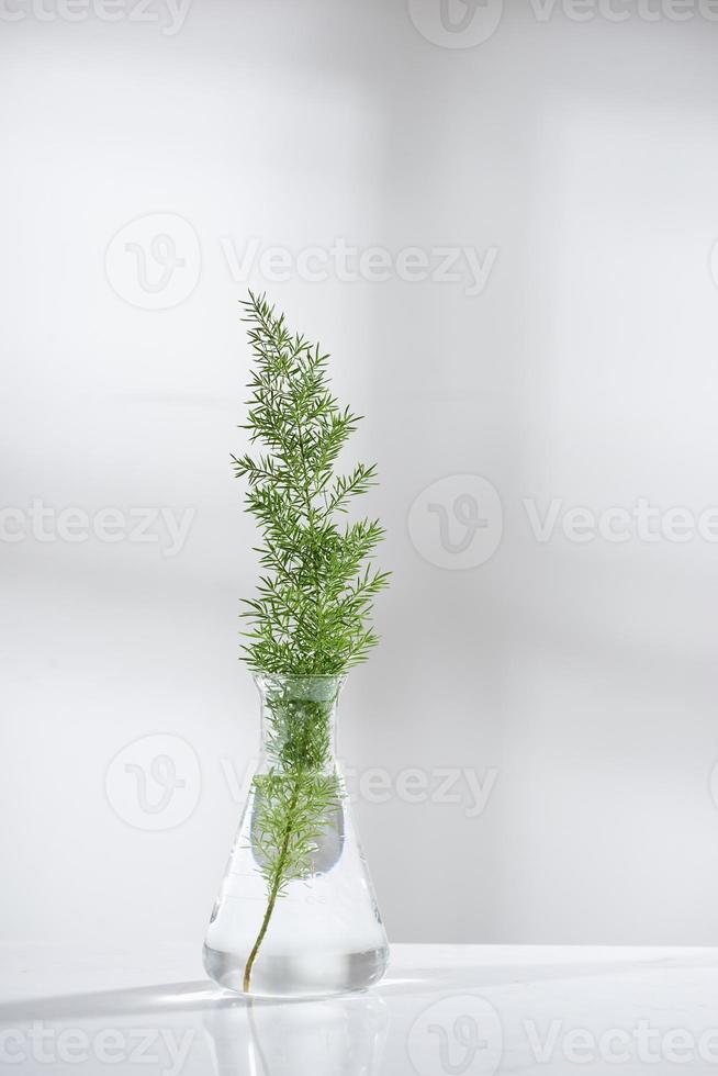 clear water in glass flask and vial with natural green leave in biotechnology science laboratory background photo