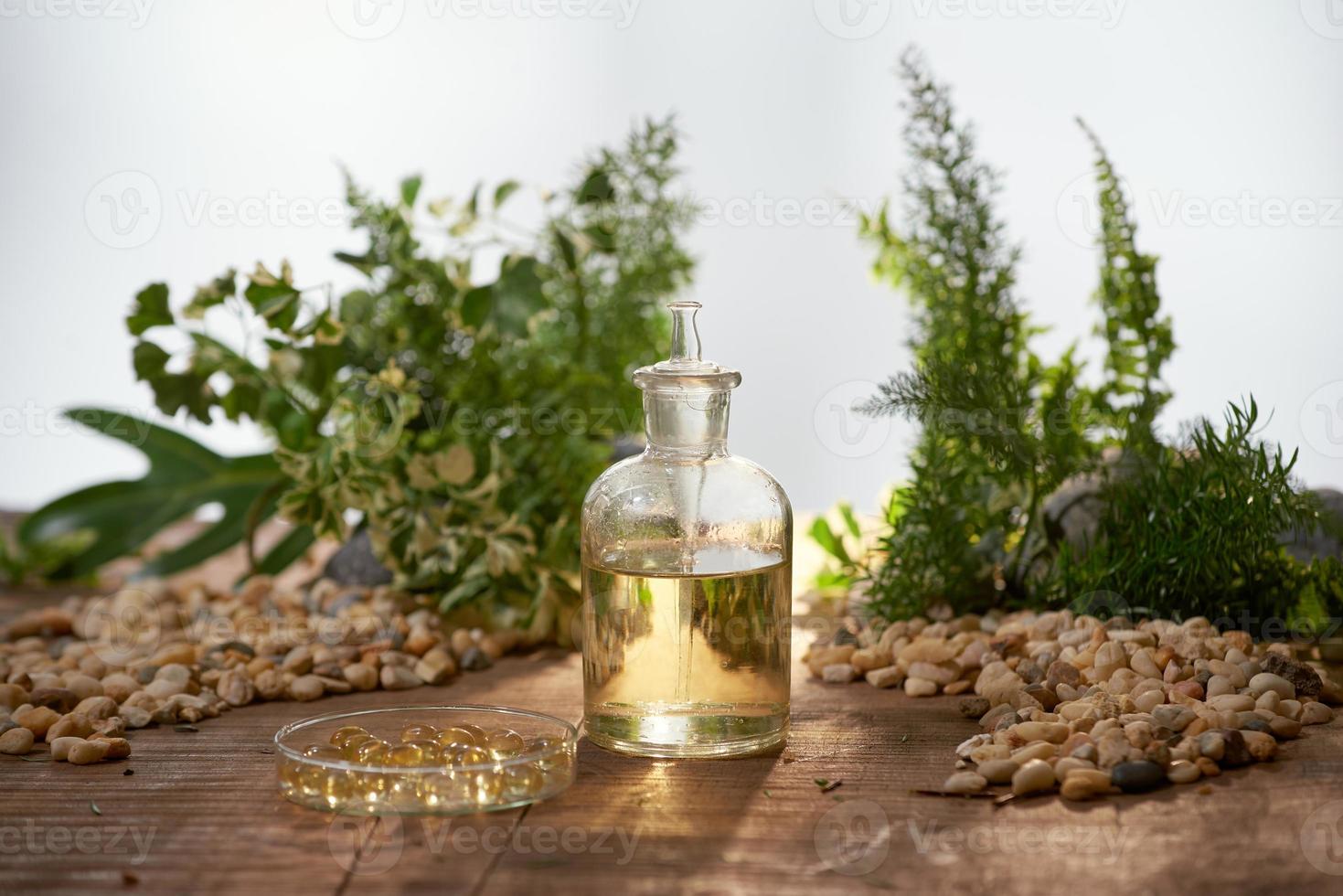 Scientist with natural drug research, Natural organic botany and scientific glassware, Alternative green herb medicine, Natural skin care beauty products, Research and development concept. photo