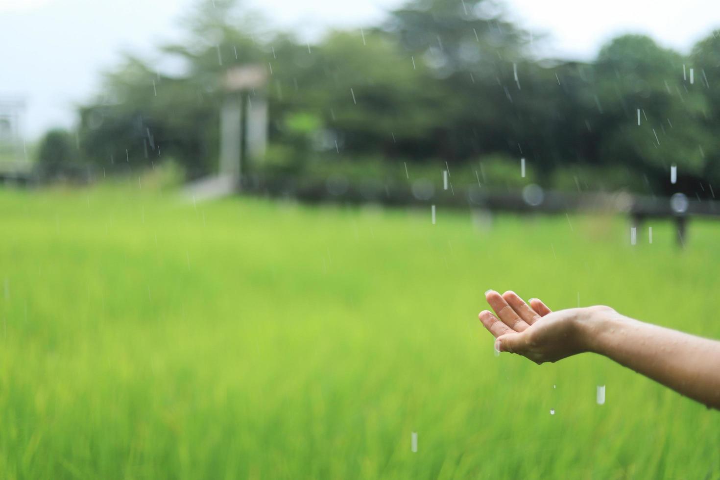 mano de niña enfriándose con una gota de lluvia en un día lluvioso para crear una idea de foto relajante