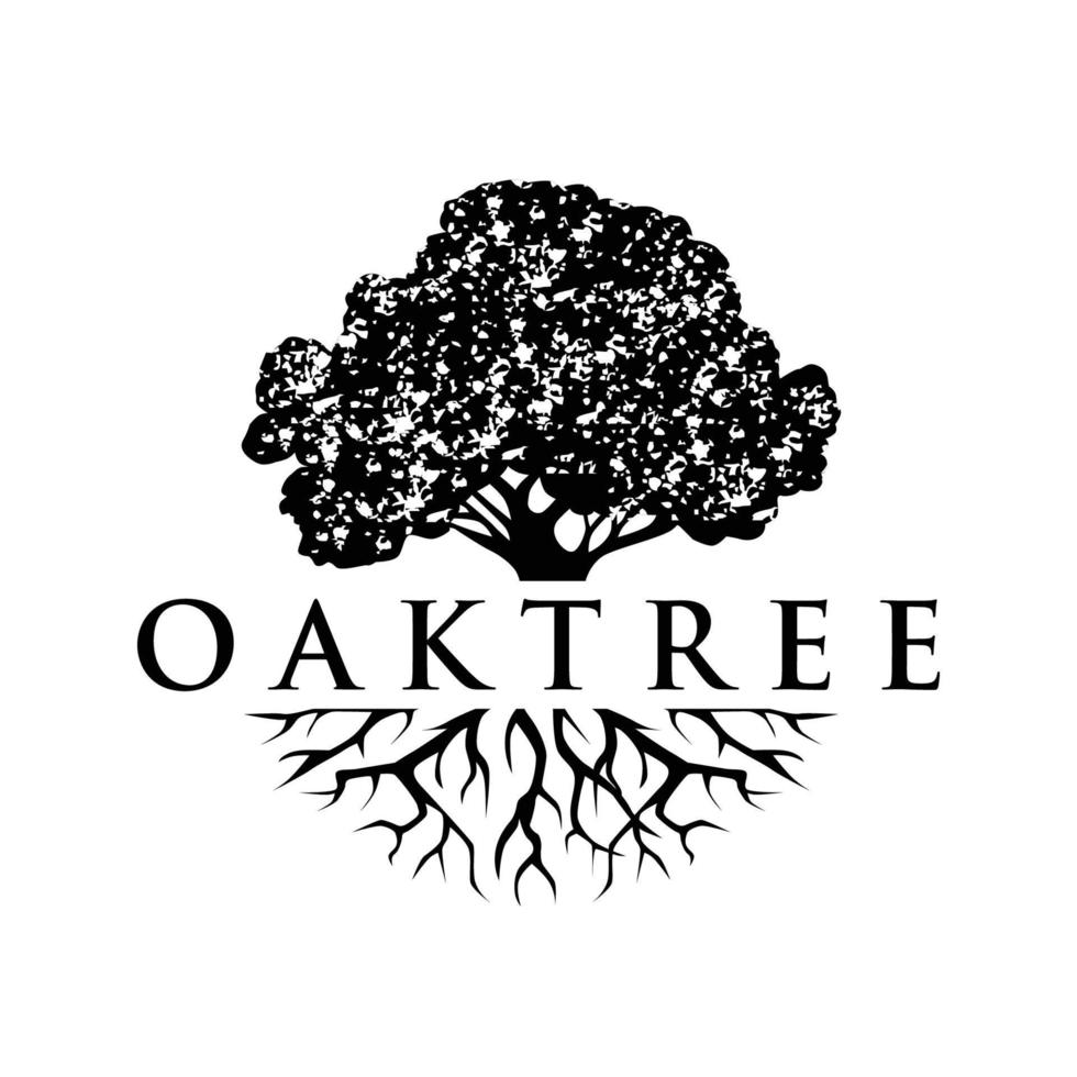 Oak tree roots logo vector design