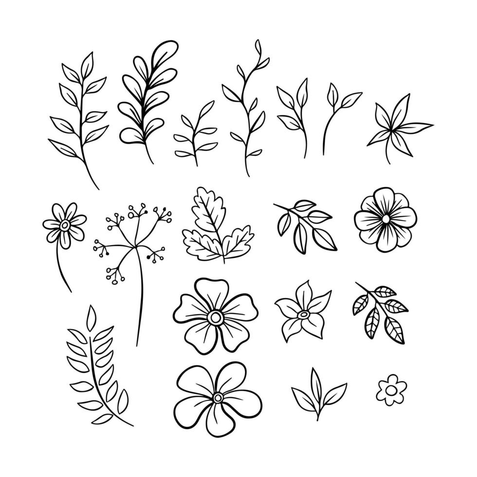 flower line art vector