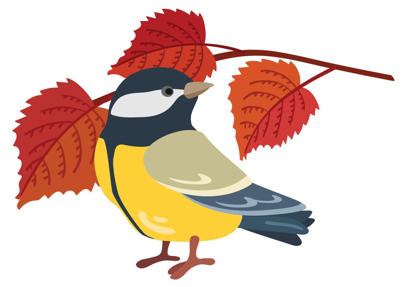 Tomtit forest bird. Hand drawn vector illustration. Suitable for website, stickers, gift cards, kids products.