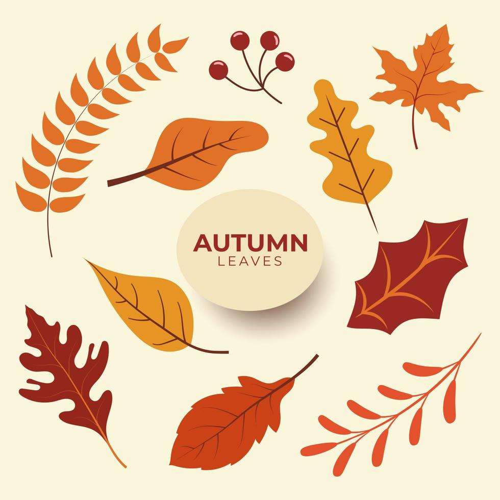 Hand draw autumn leaves element design illustration vector