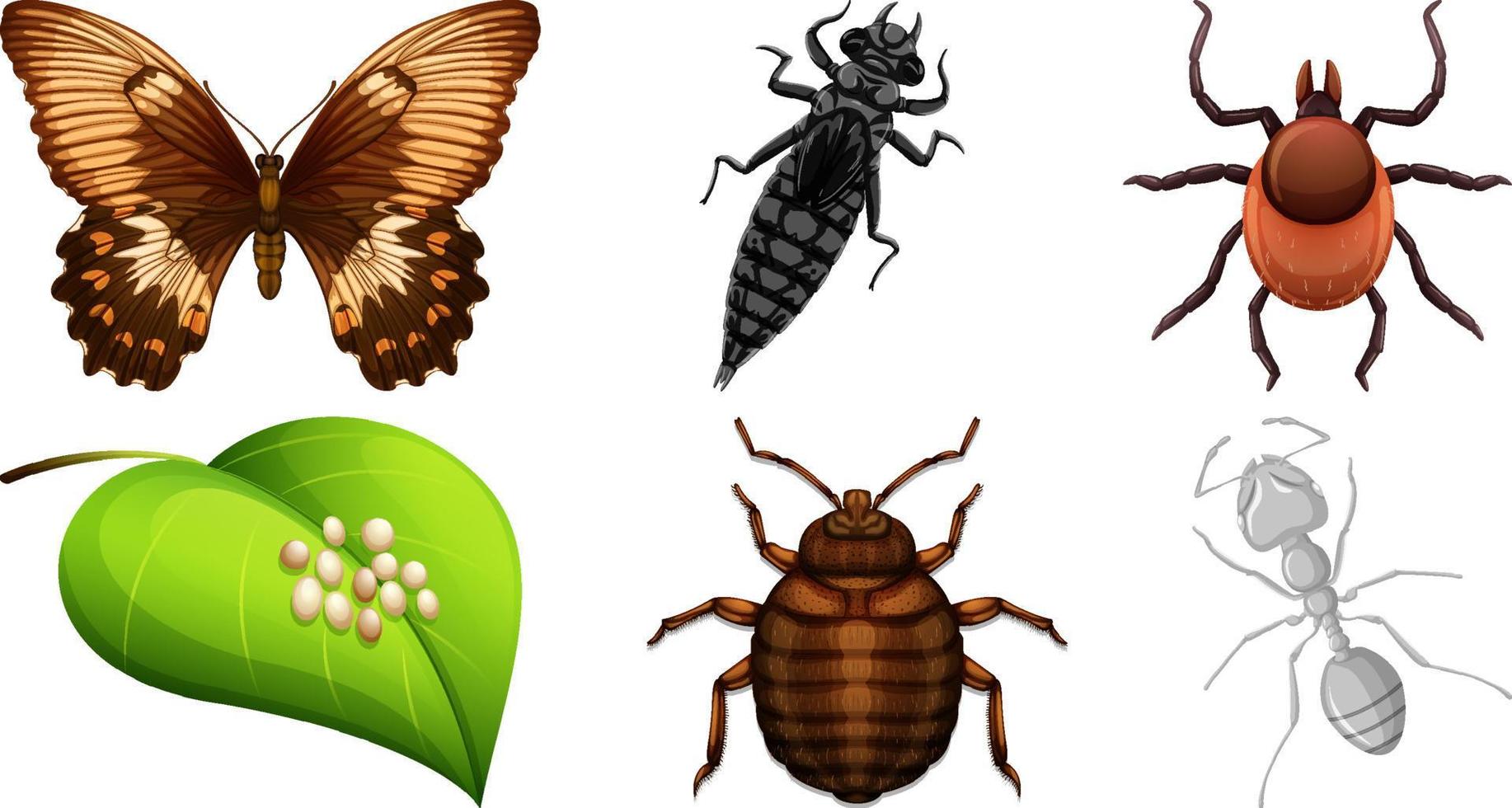 Set of different kinds of insects vector