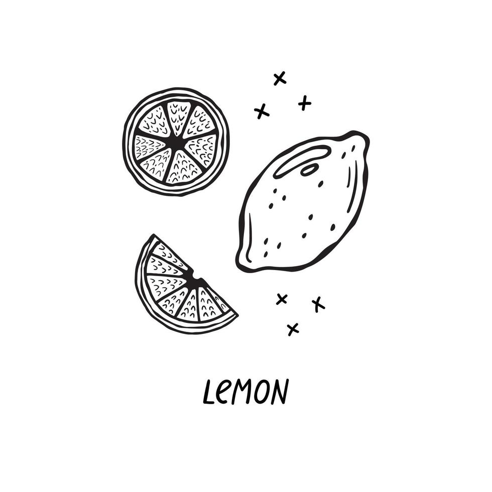 Vector hand-drawn illustration of a product for Italian cuisine.  Lemons