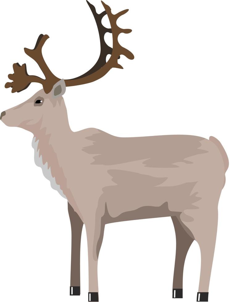 Deer, reindeer. Isolated objects, vector illustration.