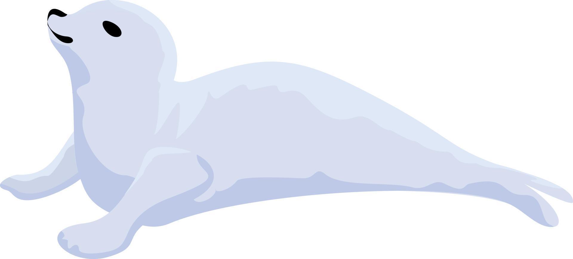 Seal animal. Seal lays. The seal has its head up and is looking sideways vector