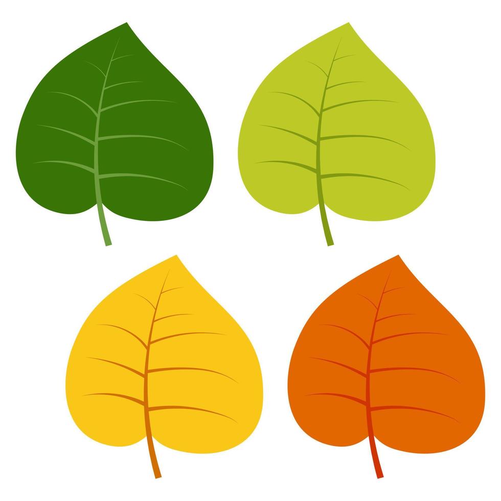 Set of green, yellow and red leaves isolated on white background. Vector illustration of autumn leaves.